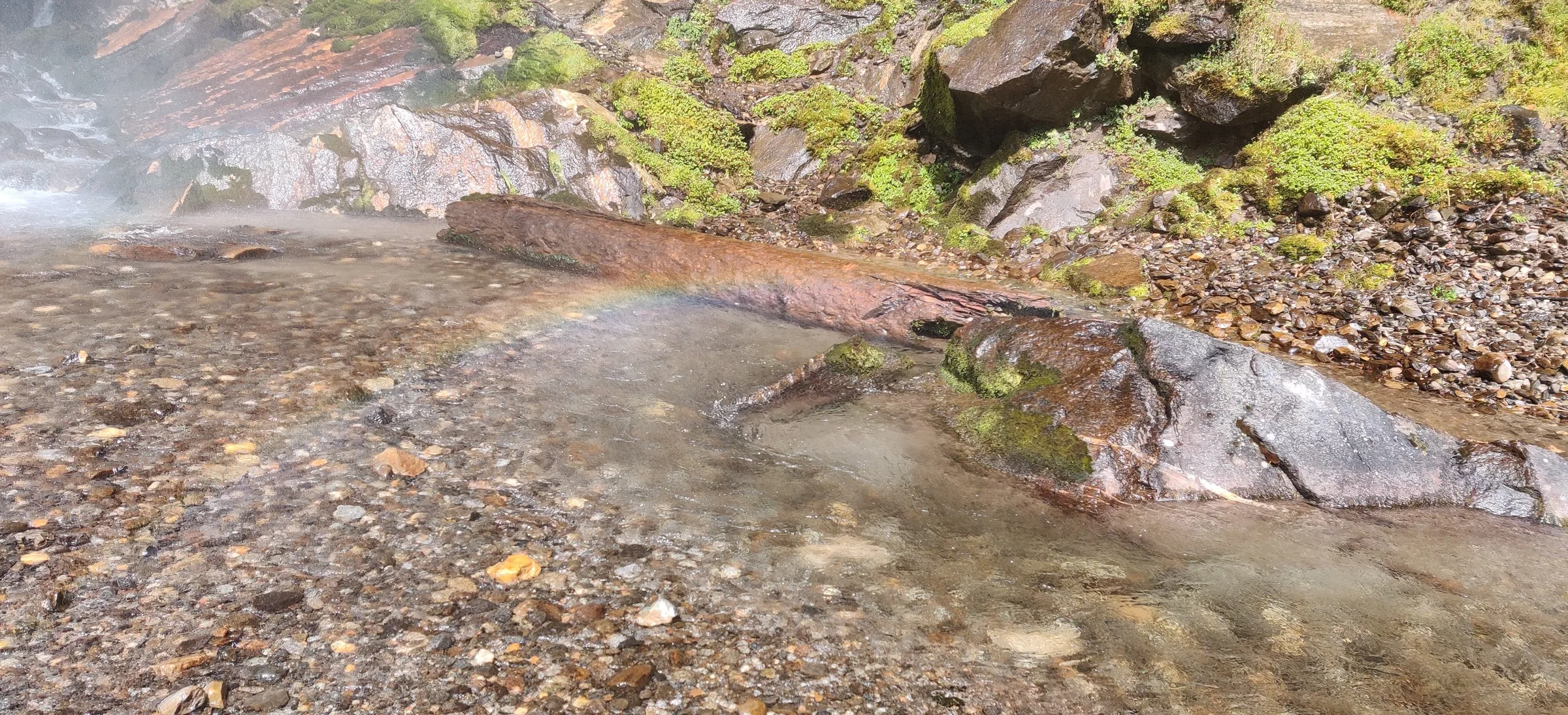 A clear stream running over mossy rock.